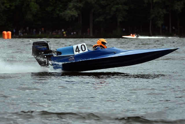 丁内利与萨 丁内利与萨